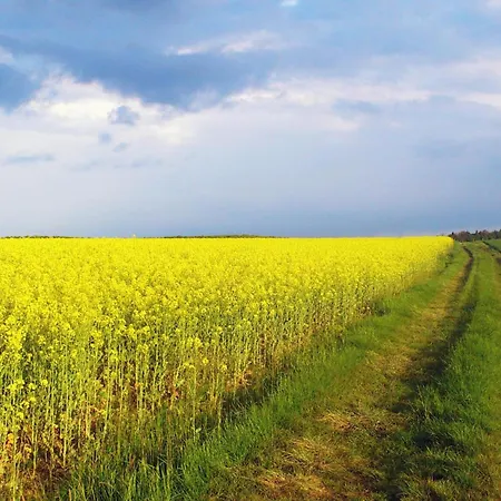 Maison Villabella بيت للعطل *