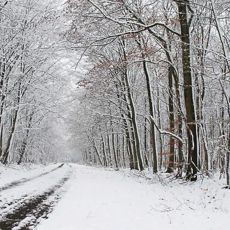 Maison Villabella Butten