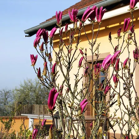 Vakantiehuis Maison Villabella *