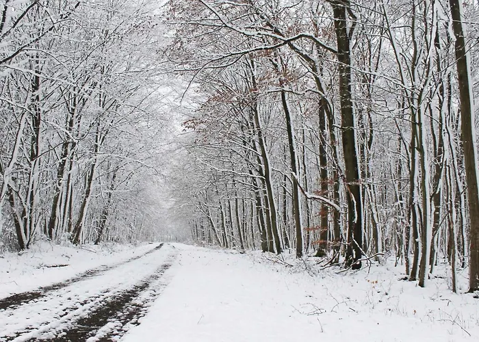 Maison Villabella Butten