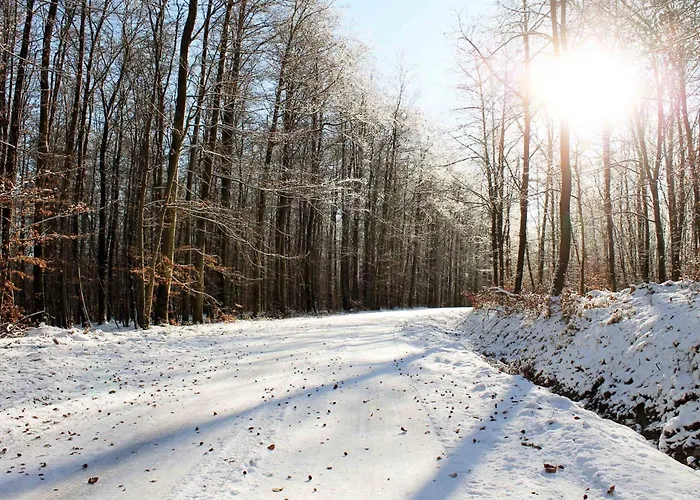 Vakantiehuis Maison Villabella