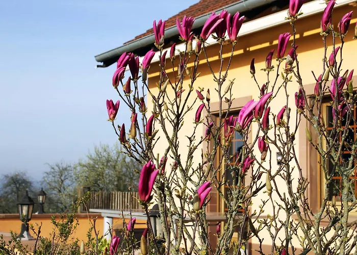 Vakantiehuis Maison Villabella *